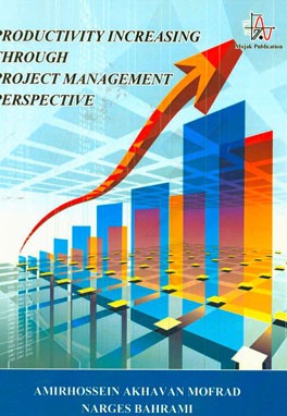 Productivity increasing through project management perspective