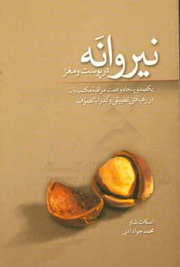 نیروانه در پوسته و مغز: 157 مراقبه مکتب ذن در رهیافتی تطبیقی و گذرا با تصوف