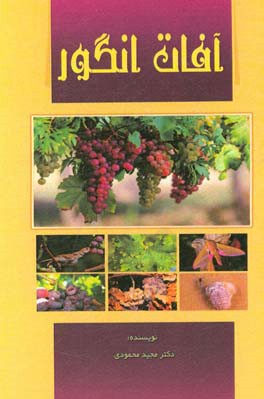 آفات انگور