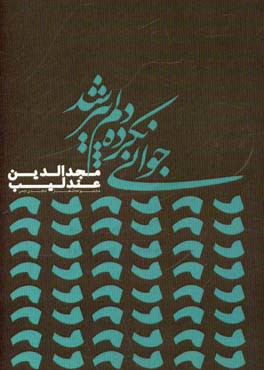 جوانی نکرده دلم پیر شد