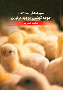 سویه های مختلف جوجه گوشتی موجود در ایران
