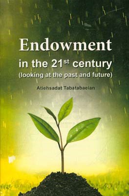 Endowment in the 21 century (looking at the past and future)
