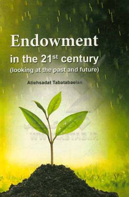 Endowment in the 21 century (looking at the past and future)