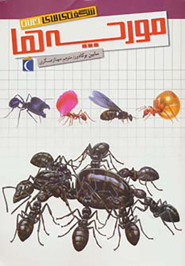 شگفتی‌های جهان: مورچه‌ها