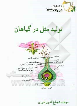 تولید مثل در گیاهان