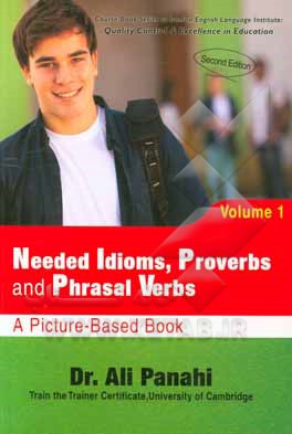 Needed idioms, proverbs and phrasal verbs: a picture-based book