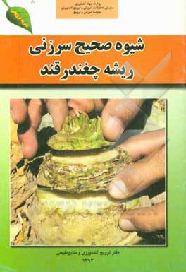 شیوه صحیح سرزنی ریشه چغندرقند
