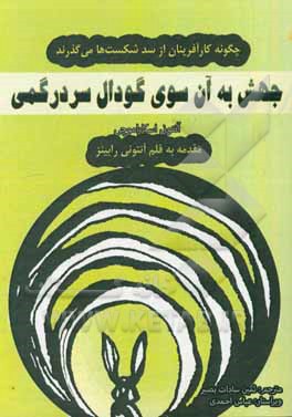 جهش به آن سوی گودال سردرگمی: چگونه کارآفرینان از سد شکست ها می گذرند