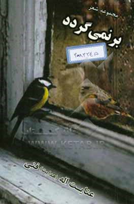 برنمی گردد