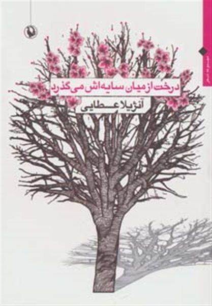 درخت از میان سایه‌اش می‌گذرد 