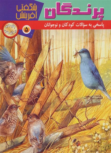 پرندگان (شگفتی آفرینش 5)،(گلاسه)